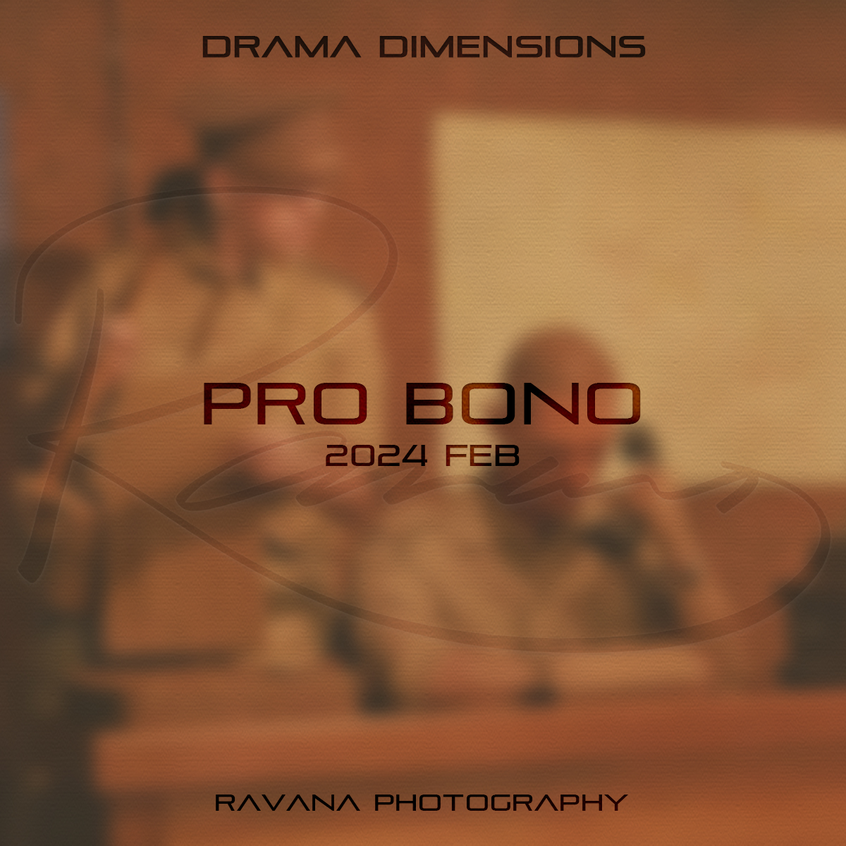 Pro Bono ~ SDEA